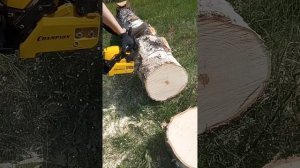 Бензопила Champion 241-16 2.45 л.с