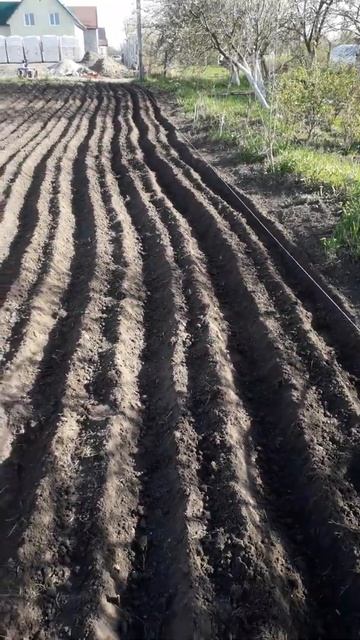 первый опыт работы окучником смотреть онлайн