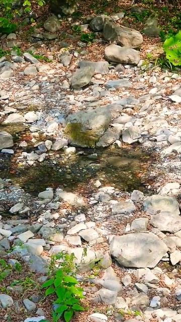 2 сентября 2023 Лазаревское Сочи село Алексеевское. К об? смотреть онлайн