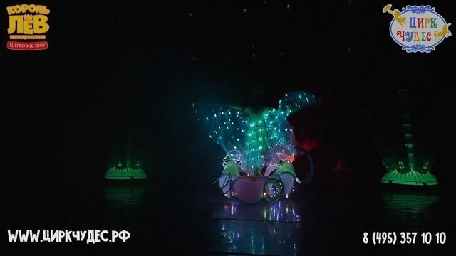 Цирковое шоу 