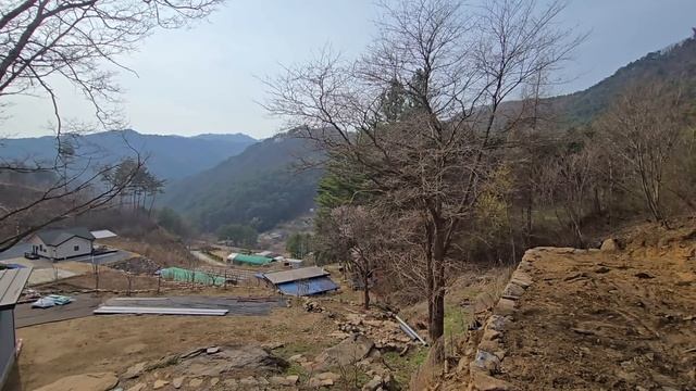 На участке не осталось живого места / История дружбы Гелика / KOREA VLOG смотреть онлайн