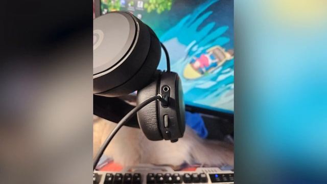 Наушники SteelSeries Arctis Prime