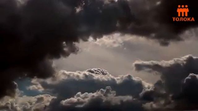 Жанна Титаренко: 