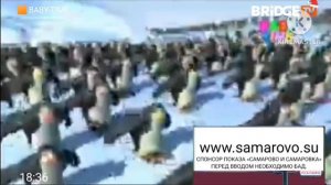 Фрагмент эфира BABY TIME с ведущими на BRIDGE TV (12.12.2019)