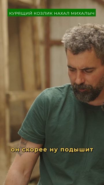 Единственный в мире КУРЯЩИЙ КОЗЕЛ! смотреть онлайн