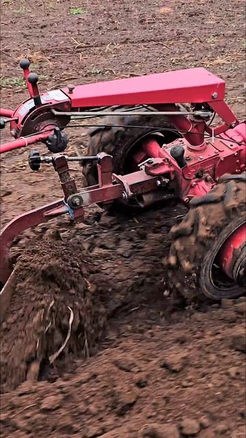 Мотоблок Белорус 2017 года выпуска. Мотор Honda GX270. #farming #м?