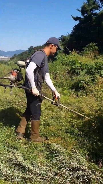 Cutting grass in Korea// 한국의 잔디깎기 // Косить травы в Корее Алафд смотреть онлайн