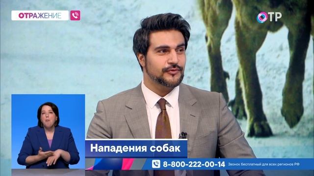 Защита граждан от нападения собак. Законодательная ин