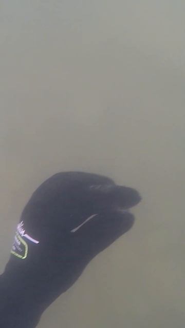 Подводный коп с Minelab Excalibur 2. Собираю серебряный урожай. смотреть онлайн