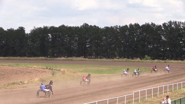 9-й заезд. Групповой приз. 25.07.2021. ЖиК орл. рыс породы р. 2019 г. 1600