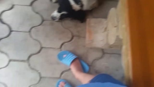 Обзор базы отдыха N6 финал смотреть онлайн