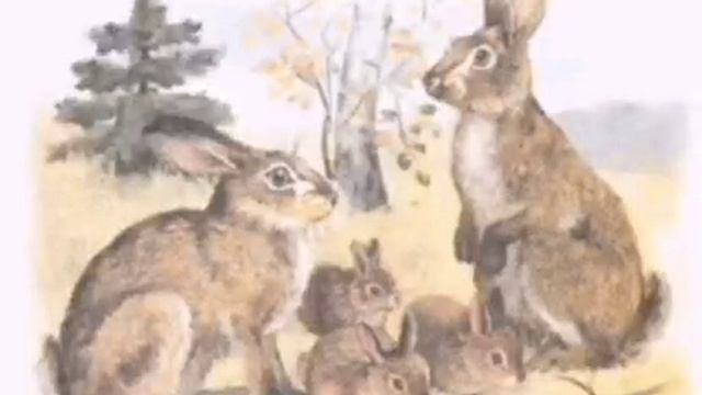 Аудиосказка. О зайке и его семье смотреть онлайн