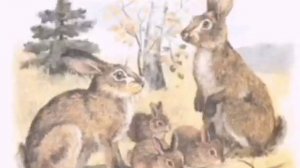 Аудиосказка. О зайке и его семье