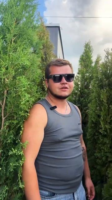 Туя #питомникрастений #растения #ландшафтныйдизайн #т смотреть онлайн