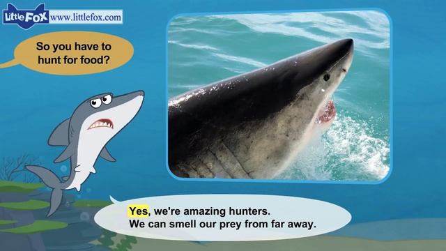 Meet the Animals 1 _ Great White Shark _ Wild Animals _ Little Fox _ Animated St смотреть онлайн