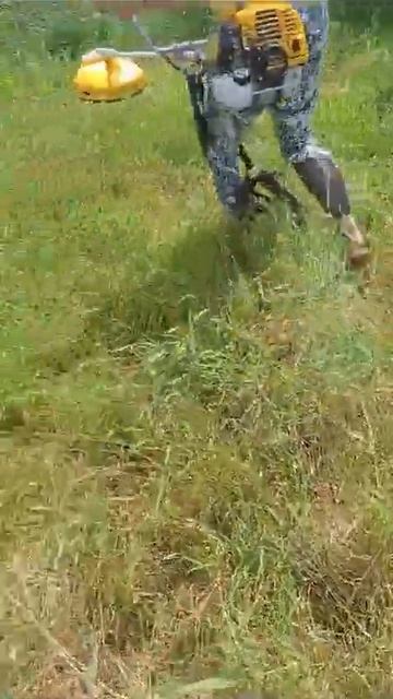 первый раз кошу 🌿 траву )))) смотреть онлайн