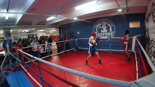 Красный ринг 17 пара 14 12 2019