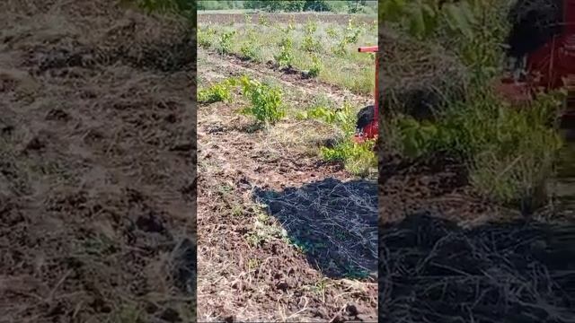 Культиватор боковой гидравлический смотреть онлайн