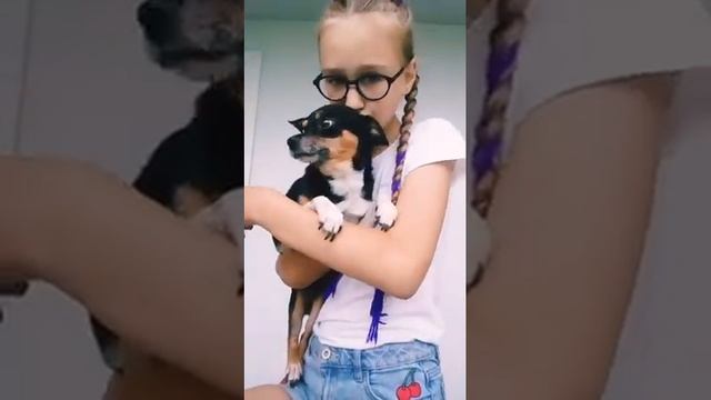 Моя собака #dog#Dinka#собака#я#Динка#Динара смотреть онлайн