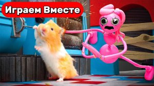 Приключения Умного Хомяка ! Испытания для ГЕНИАЛЬНЫХ ЖИВОТНЫХ 🐹 Видео для детей