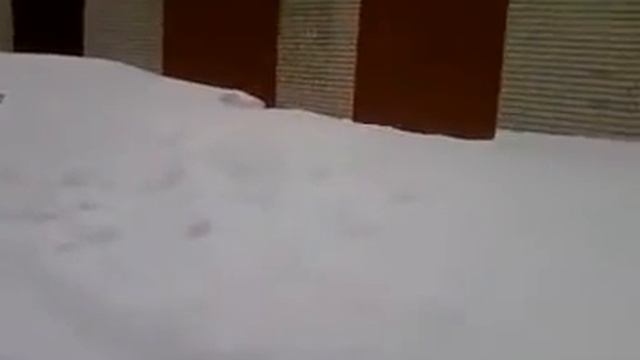 Снежку привалило