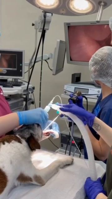 Подробнее, три точки в правом верхнем углу, описание.ю смотреть онлайн