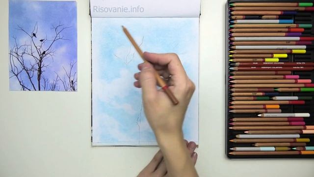 Птицы на ветках. Демоверсия урока по рисованию цветны?
