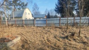 zimani lm 100 московская область услуги мини мульчера 8-916-789-