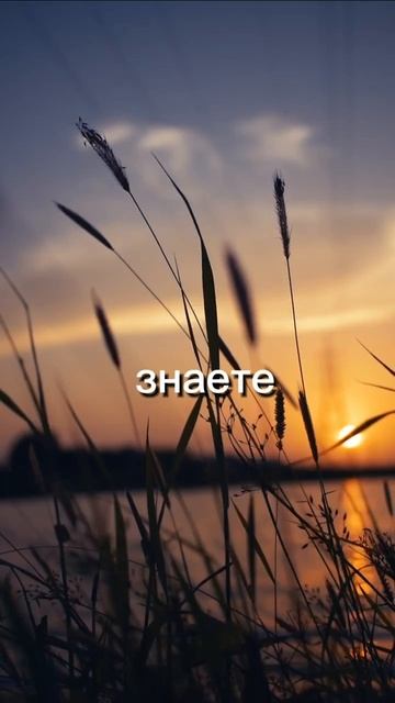 📣Слушайте аудиокнигу 