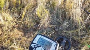 Копаем с металлоискателям Skycruiser S 31 Тест на глубину об?