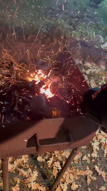 Секретная функция воздуходувки Senix. смотреть онлайн