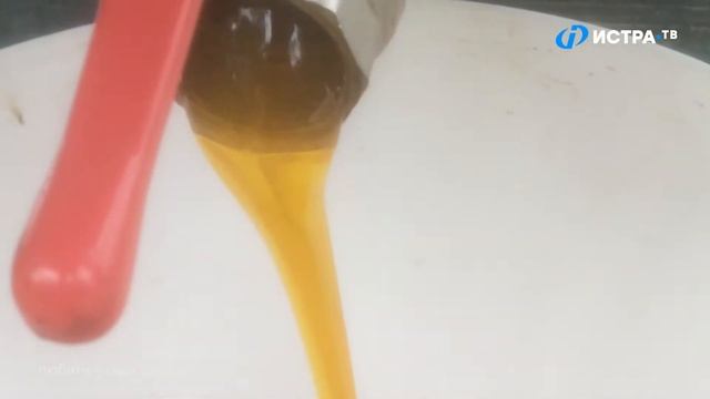 Медовый Спас