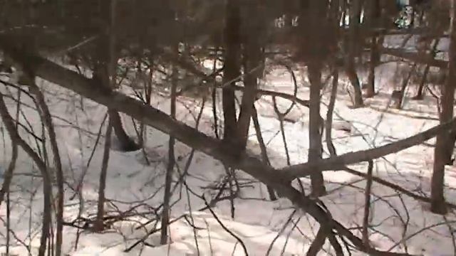 Снегоступы через ручей смотреть онлайн