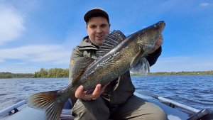 Щука и Судак На Воблеры | Рыбалка в Псковской Области