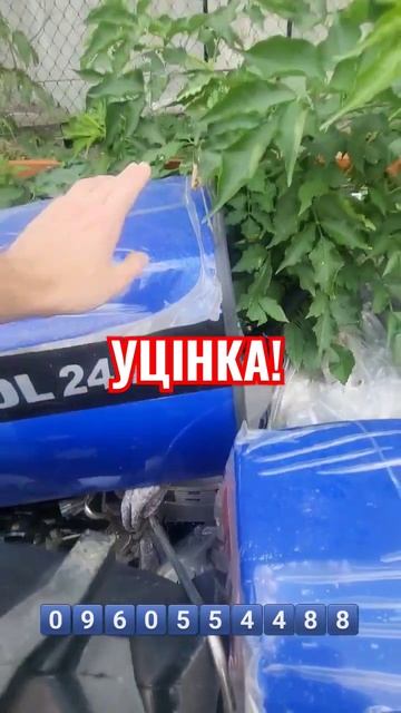 Фотон Ловол 🔴 орігінал ! 🔴 Уцінка !!