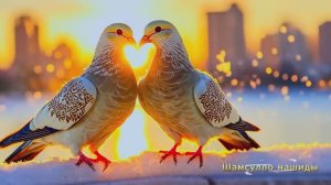 Коран сура Юсуф видео 4к Миншави -Minshawiy