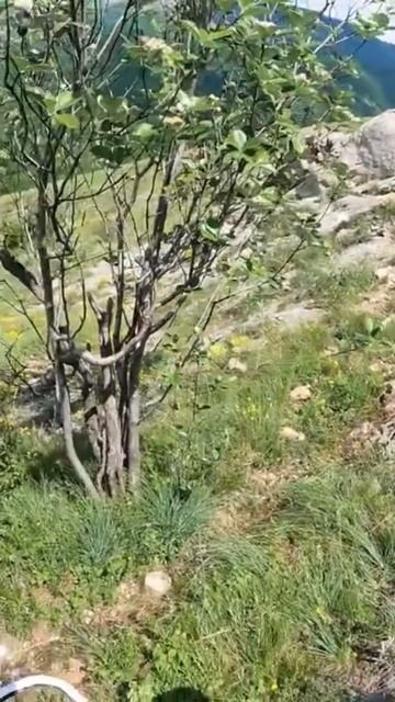 Это мы на Чатыр Даг ездили сейчас уже дома #крым #memes #crimea #прохват #gr7 #enduro #эндуро