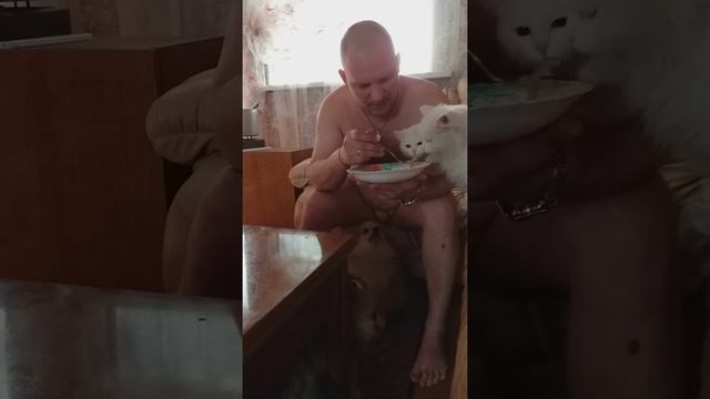 голодный отец сытые животные смотреть онлайн