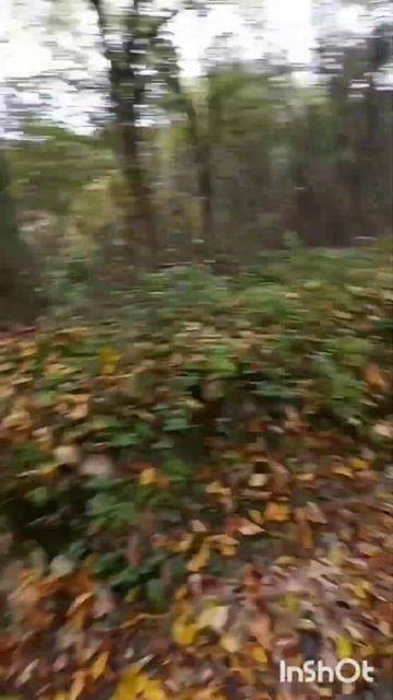 Дорогою до лісу.#мінітрактор #прицеп#саморобний #4x4 #мо? смотреть онлайн