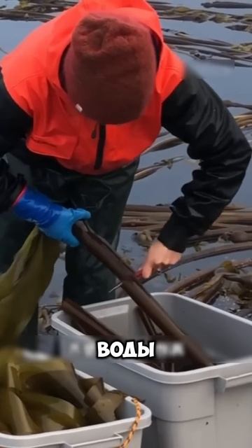 Вы точно не догадаетесь что делают с этими трубками смотреть онлайн