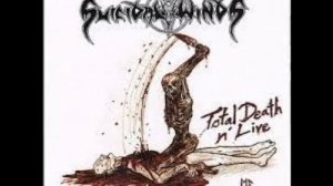 Suicidal Winds black trash metal группа из Швеции