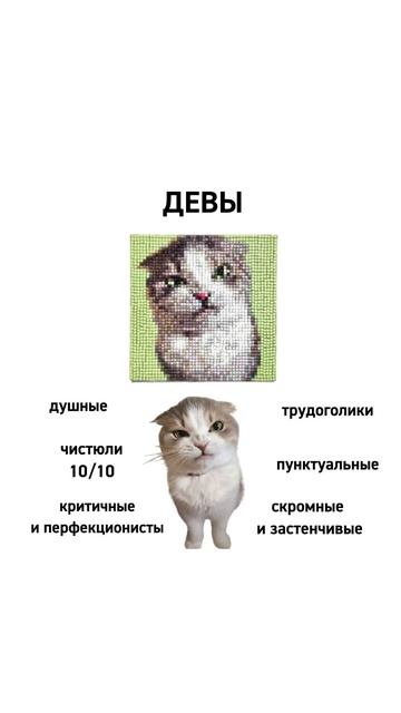 Алмазная мозаика 👉🏻OZON: 1629807762 WB: 229436475 #гороскоп #знак? смотреть онлайн