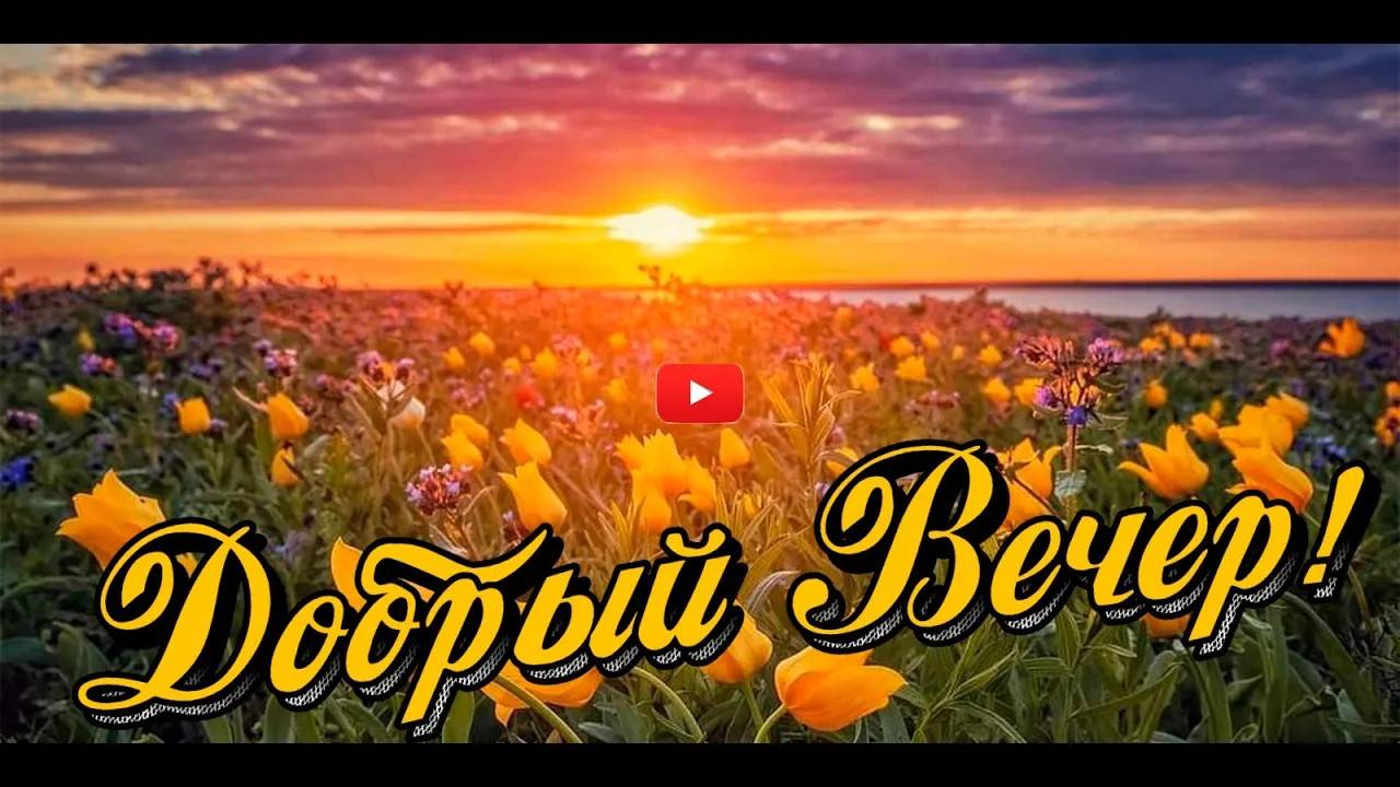 ДОБРЫЙ ВЕЧЕР 🤩🥰 Пожелания ДОБРОГО ВЕЧЕРА Красивое пожелание с добрым вечером ВИДЕО ПОЗИТИВ смотреть онлайн