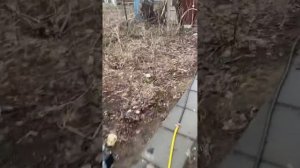 Откачал выгребную яму или септик насосом малышом за 4т