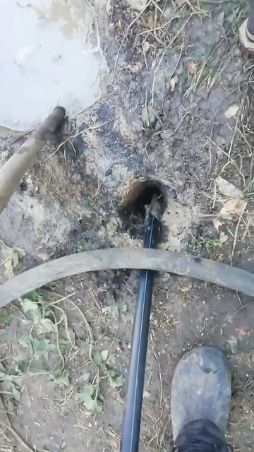 16 октября 2024 г. смотреть онлайн