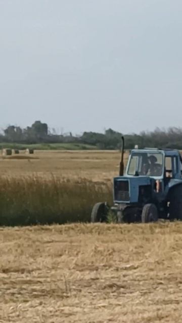 мтз 50 сенокос косилка виракс 1.65 смотреть онлайн