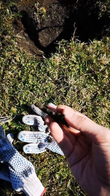 Легендарный 600 веник, находка сезона 2021 смотреть онлайн