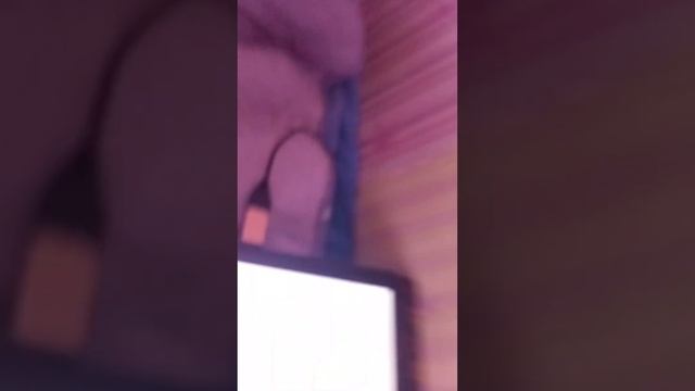 как скачать Toca Boca взлом с мебелью 1.86