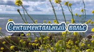 Сентиментальный вальс, Op.1 No.1, Александр Губанов