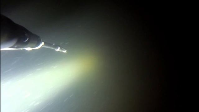 Подводная охота 2:1 в пользу щук!!! 7.03.2017